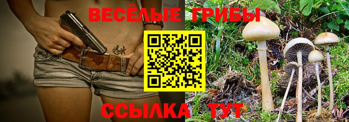Галлюциногенные грибы Magic Shrooms  Вход с VPN  Березники 