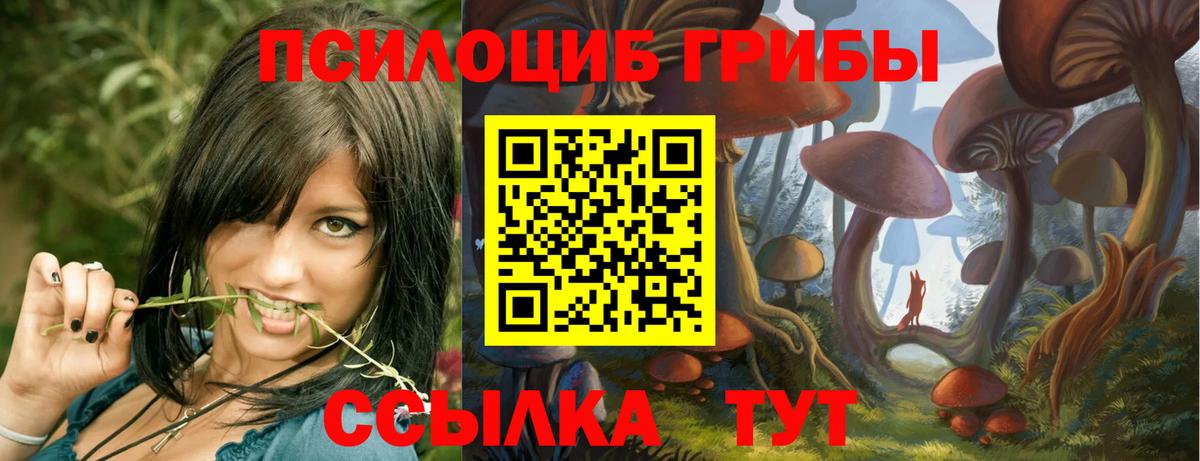 Галлюциногенные грибы Magic Shrooms Березники